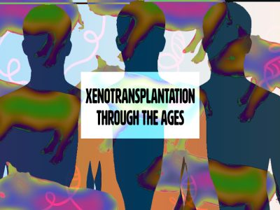 XenotransplantationCoverArt