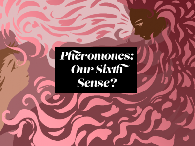 pheromones